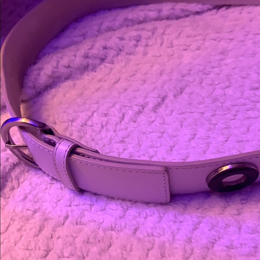 Belt